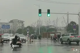 新国标红绿灯场景图解！8种通行规则，一旦走错6分不保，记好口诀图片