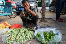 一袋树叶值十两黄金的故事图片