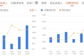 “储能第一股”派能科技三季报业绩“爆表”，股价为何不涨反跌？图片