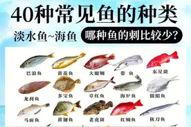 40种生活中常见的鱼的种类，口感区别及做法！图片