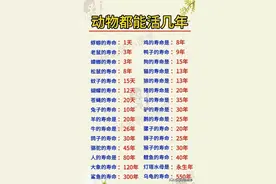 动物的寿命时间排行榜，终于有人整理好了，看完知识大增。图片