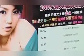 色情网站“丁香”覆灭记：7.3亿的浏览量背后，是谁在操控盈利？图片