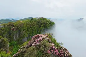 龙头山景区3月25日恢复开园！免门票活动来袭！图片