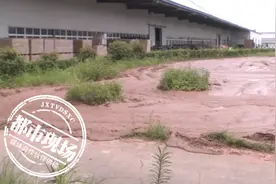 夫妻俩双双被抓！丈夫非常自责：都怪我是个“耙耳朵”图片