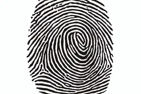 侦查，识别身份，指纹的故事。为什么指纹是独一无二的？图片