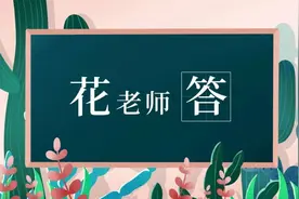 花老师答：什么是真正的好产品？图片
