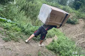 爱心冰箱 两名热心快递小哥背上山图片