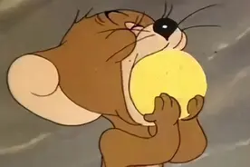 开心一刻｜关于明天的事，我们后天就知道了图片