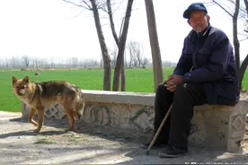 父爱如山：80岁的父亲，带着毕生的积蓄，来到了我的病房图片