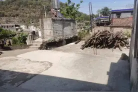 亲兄弟间为何如此剑拔弩张？图片