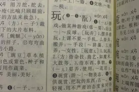 新华字典 第十二版图片