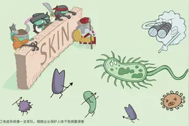 免疫系统：今天，你和病毒只能活一个！图片