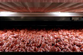 好想你2021年实现营收12.81亿元，全面布局健康食品高端细分市场图片