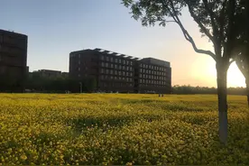 在研究所工作是一种什么样的体验（三）图片