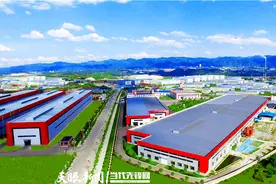 从“单打独斗”到“集群发展”︱一块新能源电池材料的20年图片