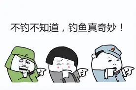 那些年，被战忽局钓上来的蠢鱼图片