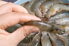 虾头能吃吗，虾要怎么处理才干净，养虾大户全告诉你，看完全懂了图片