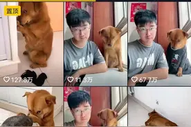 涉嫌“虐狗”网红博主回应质疑：遭遇严重网暴，或许成下一个“刘学州”图片