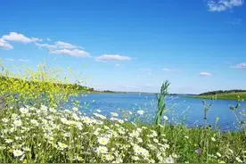 与人交往，需要注意的20个细节图片