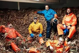 从泛滥成灾到天价食材，帝王蟹的前世今生图片