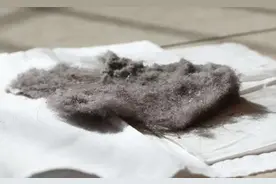 为何家里总有很多“毛絮”？学会这么做，毛絮自动消失，转告家人图片