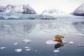 28万亿吨冰川已融化，能将全中国淹没2.9米深，地球这是怎么了？图片