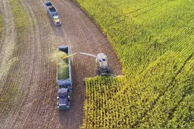 “禁止房前屋后种瓜种菜”？“种地需要证书”？“农管”到底管什么？权威回应来了图片