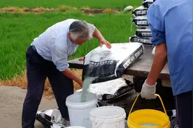 新金融推动乡村“五大振兴”的江苏实践图片