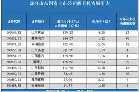 青岛港拉开整合大幕，山东国资上市公司投资价值受关注图片