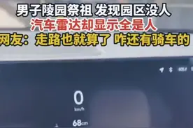 男子陵园祭祖发现园区没人，汽车雷达却显示全是人图片