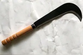 村民上山喜欢随身带把柴刀，他们是砍柴吗？四个原因！图片