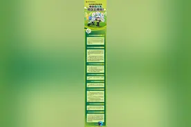 权威解读丨2022年1月东莞市电动自行车可以上牌啦！！图片