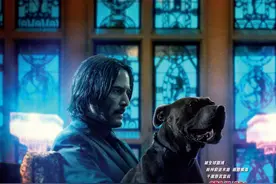 《疾速追杀3》武器比前面更多了，多到一篇装不下(手枪篇)图片