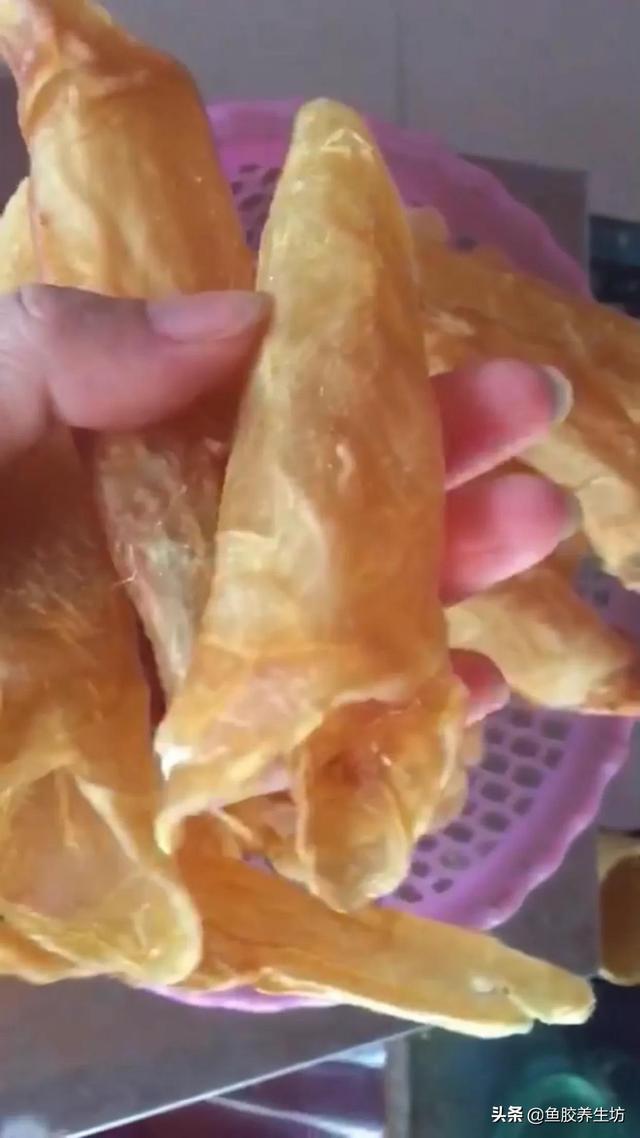 巴沙鱼胶的功效 2026年巴沙鱼胶的功效与禁忌 巴沙鱼胶的功效 2026年巴沙鱼胶的功效与禁忌