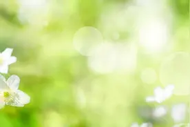 来往一虚舟，聊随物外游图片