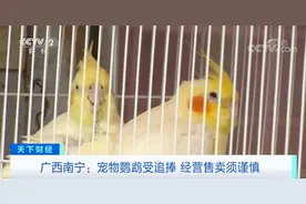 突然火了，一只卖到2000元！央视曝光：小心违法图片