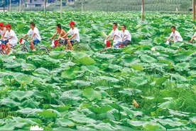 重庆有个火炉镇，距离武隆城区仅30公里，却是一个避暑的天堂图片