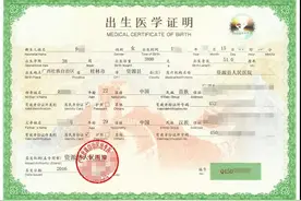 自治区电子证照系统打通桂妇儿健康服务信息管理系统生成出生医学证明图片