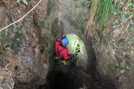 那只在溶洞待了6年，靠村民投喂剩饭剩菜为生的小狗，如今怎样？图片