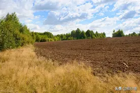 2022年“直补”终于来准信了！4月30日前打卡！每亩57元图片