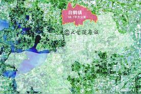 “跨省城镇圈”是青浦白鹤镇的机会吗？图片