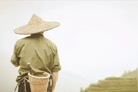 捕蛇人5年后被蛇群围攻身亡，蛇有“报复”心理？遇到蛇该怎么办图片