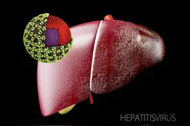 乙肝严不严重，既不看表面抗原，也不看病毒DNA，而是查清4项内容图片