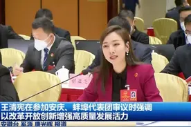 安徽省人大代表吴婷：推动建立产业共同体“抱团回暖”图片