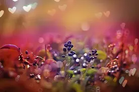 孩子成长的路上励志说说(精选64句)图片