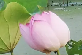 请掌握举报枉法裁判罪《控告材料》的基本要点图片