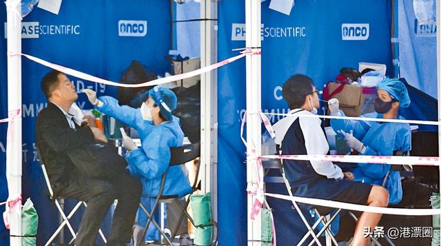 花胶是海关禁运么 2026年花胶能过海关吗