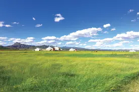 呼和浩特：再现《敕勒歌》图片