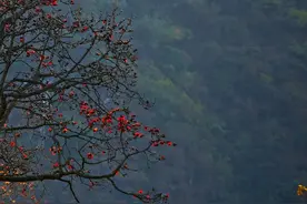 2022年度感动中国年度人物揭晓，请记住这些名字，致敬向上的力量图片