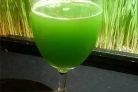 小麦果汁是啥？小麦果汁是什么意思？图片